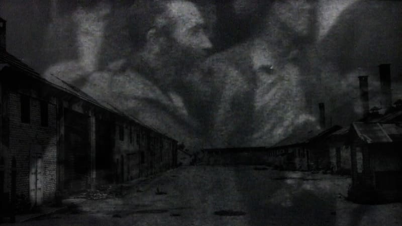 NOMI AL VENTO di Anna Albertano, un documentario PER RICORDARE LA SHOAH, alla 35^ edizione del TRIESTE FILM FESTIVAL (19-27 gennaio&nbsp;2024)