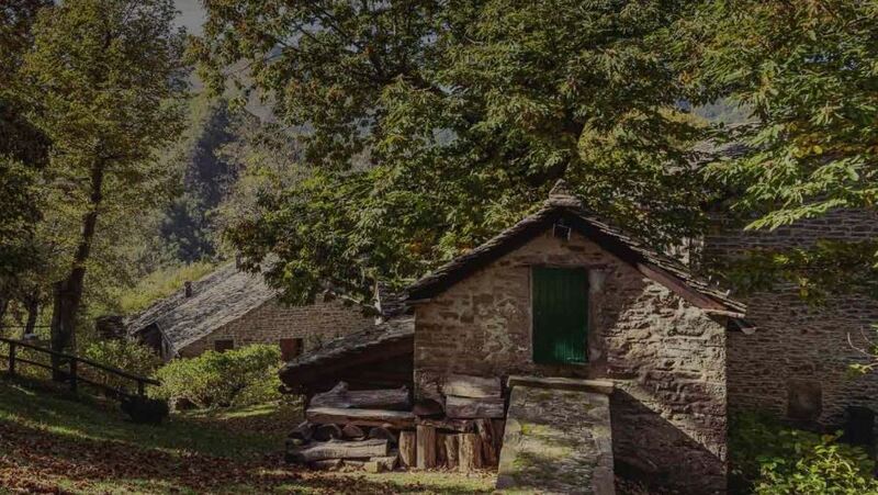 Crinali 24 –  Cinema a Vergato e a Marzabotto dal 3 luglio all’1 agosto&nbsp;2024