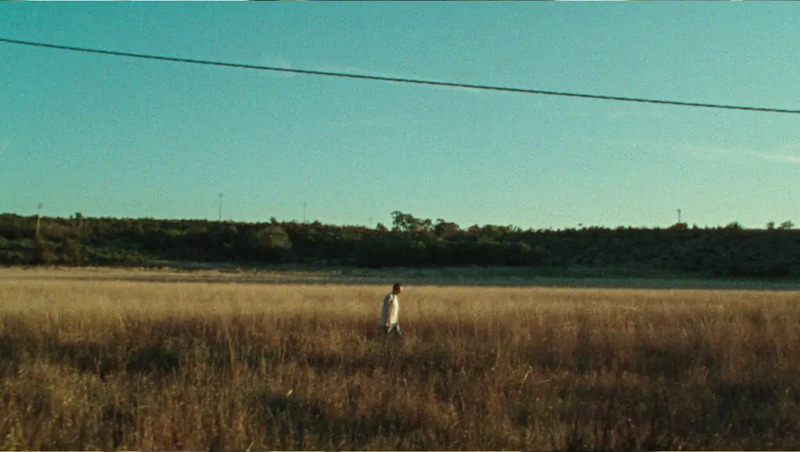 DOSTOEVSKIJ di Fabio e Damiano&nbsp;D’Innocenzo