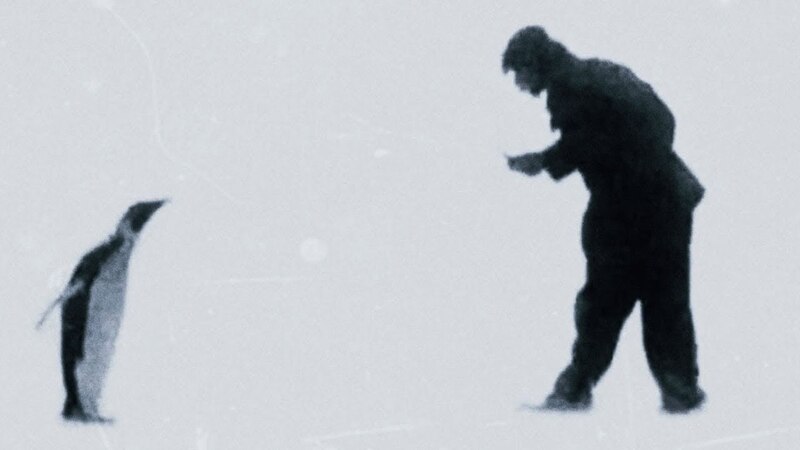 BESTIARI, ERBARI, LAPIDARI di Massimo D’Anolfi e Martina&nbsp;Parenti