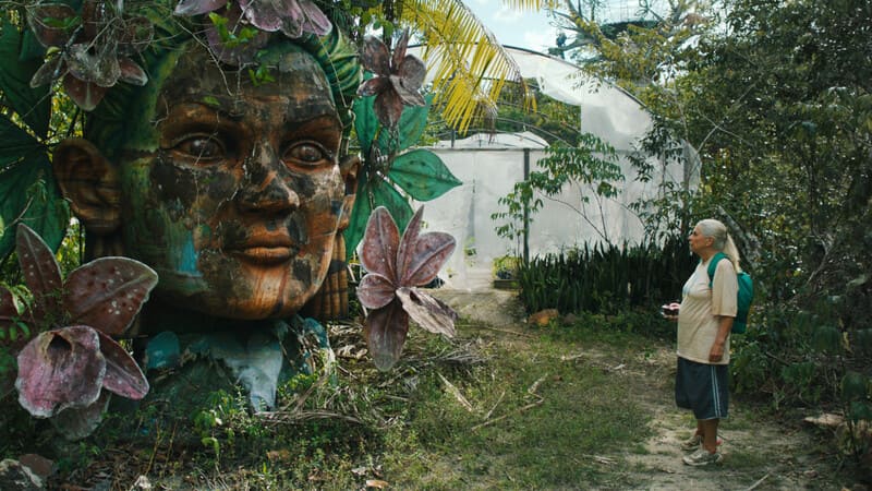 IL SENTIERO AZZURRO di Gabriel&nbsp;Mascaro