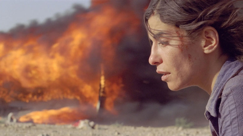 “Northern Dreams: a collection of films from Canada” le proposte del 10 e 11 gennaio 2026 al MAST