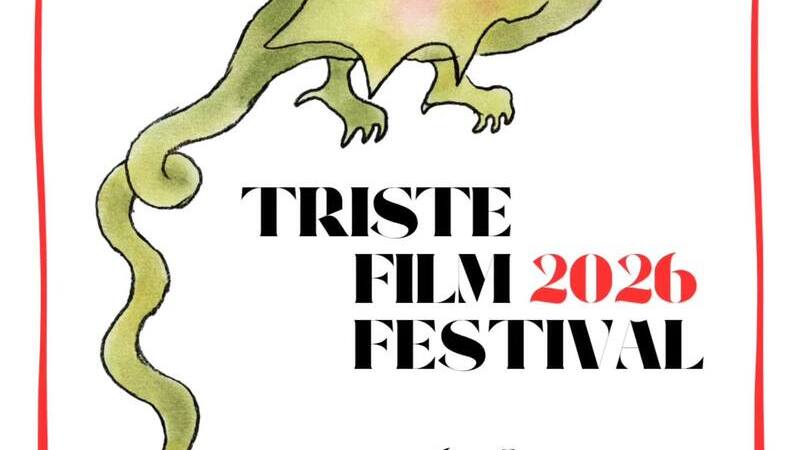 Il TRISTE FILM FESTIVAL non si terrà tra il 6 e l’8&nbsp;marzo