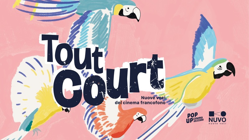 TOUT COURT, il festival del Cinema Francofono, festeggia la decima edizione