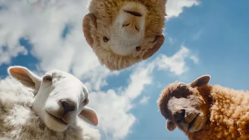 UCI Cinemas Meridiana celebra la Giornata Internazionale della Famiglia con un’edizione speciale della rassegna Kids&nbsp;Club